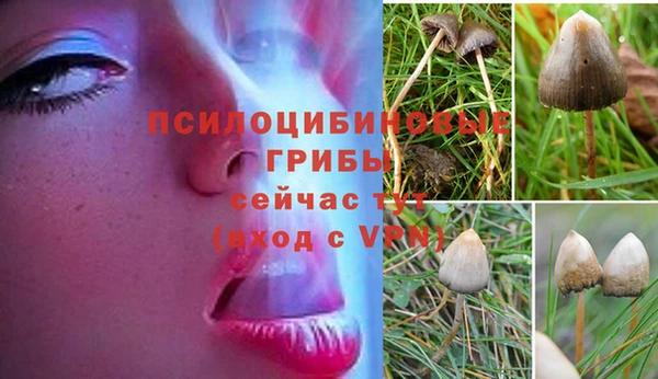 стафф Абаза