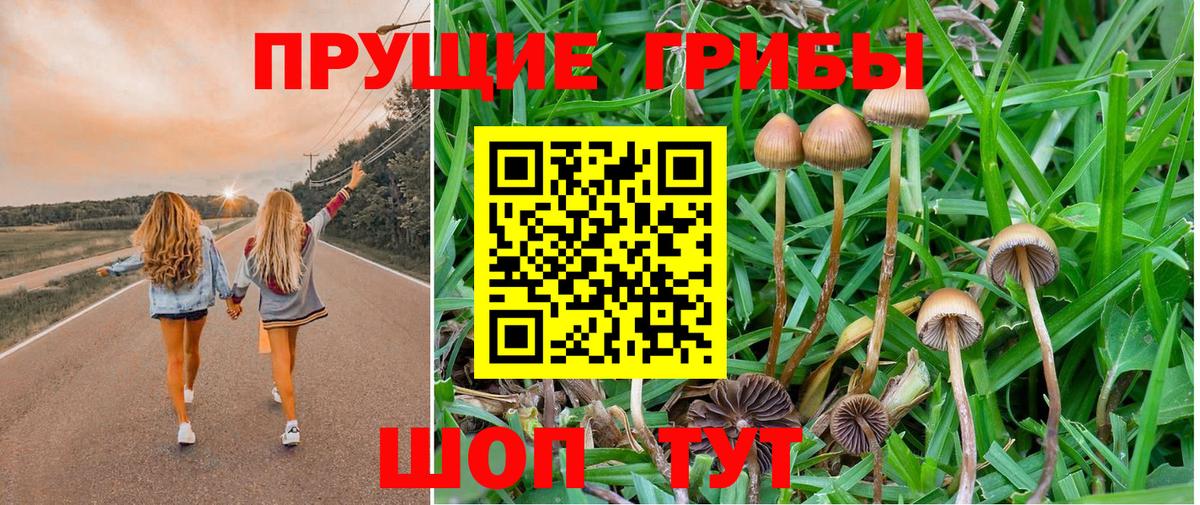 Псилоцибиновые грибы прущие грибы Советск