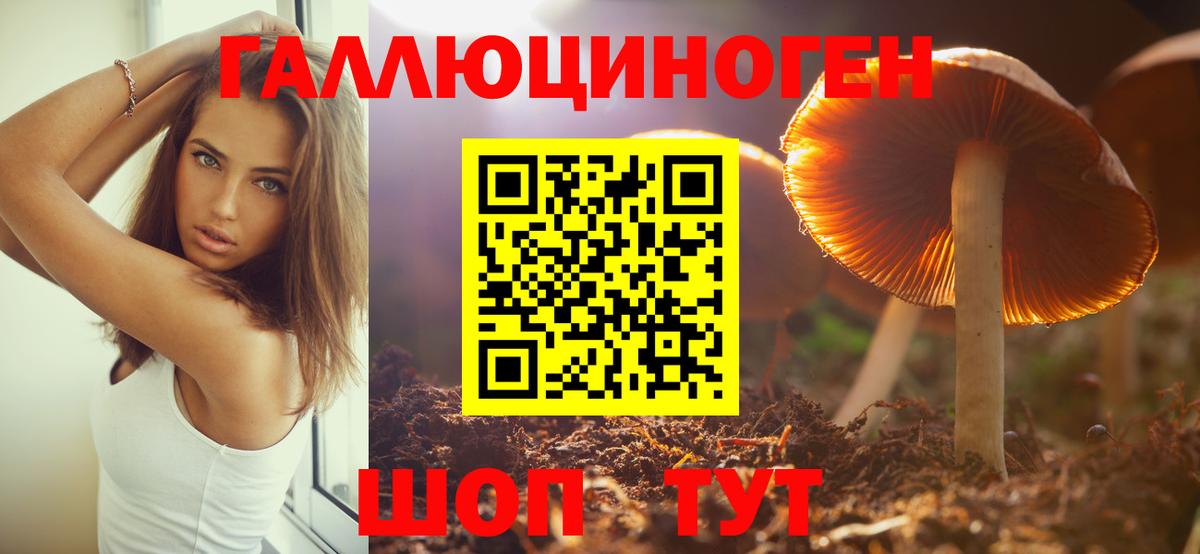 Псилоцибиновые грибы мицелий  Вход с VPN  Советск 