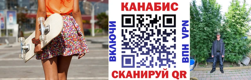 Канабис сатива купить закладку Советск